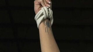 Гармония - Жаттығу шлюхи - Толықметражды фильм